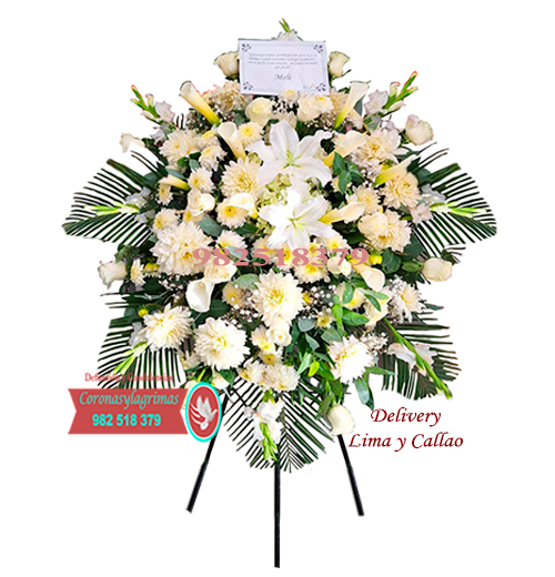 Lágrima Especial<br>Altura 1.50 metros<br>🕊COND_016